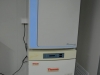 Thermo CO2培养箱
